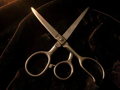 Vanitas Scissors — Blades on Dark Velvet