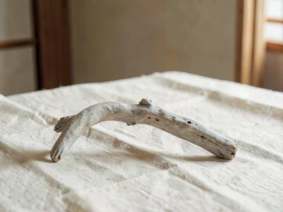 One small piece of sun-bleached driftwood twisted and pale grey resting alone on