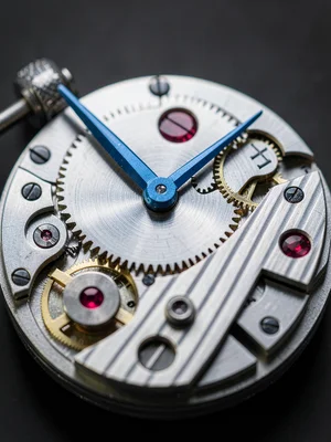 Power Reserve Indicator Gear Sector