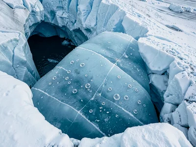 Air bubbles trapped in glacier ice