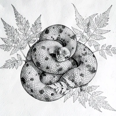 Pen-and-ink study of a coiled snake winding through fern fronds, dense crosshatc