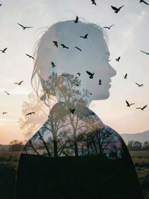 Birds through figure silhouette