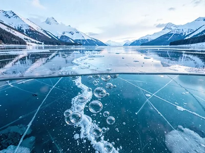 Bubble trail from bottom to surface frozen in time