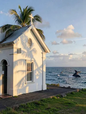 Sunday stillness in Nuku'alofa, Tonga, Late afternoon light on a white church wa