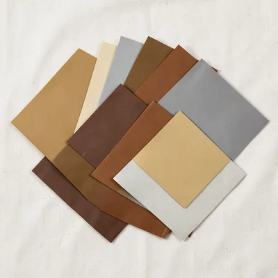 Earth Tone Chip Fan Sienna to Warm Gray