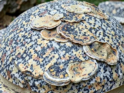 Exfoliation layers peeling from dome surface
