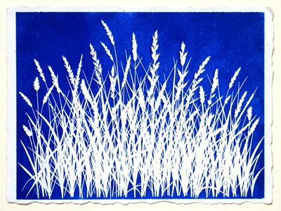 Dense overlapping arrangement of different grass species on cyanotype, creating 