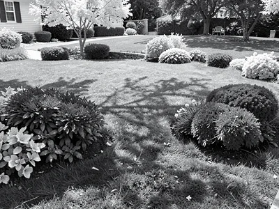 Estate grounds infrared