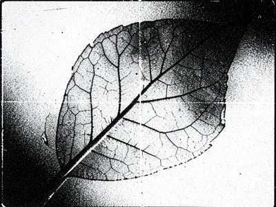 Photocopied leaves losing detail with each generation, final copy showing only t