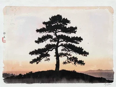 Pine tree silhouette against evening gradient