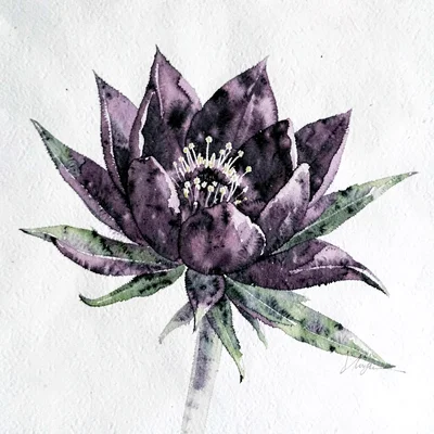Painterly gouache of a hellebore in deep purple, chalky pigment