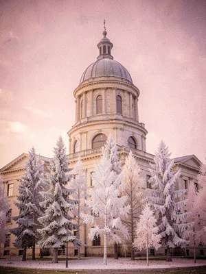 Old observatory dome rising above a circle of pale silver pines under a pink aft