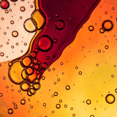 Colored oil in water, macro, abstract cells and bubbles, warm gradient colors