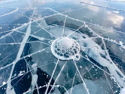 Methane bubble trapped in clear ice visible from above