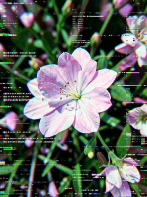 Spring flower photograph with data corruption artifacts, beauty in breakdown