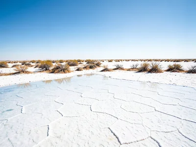Salt flat edge — the abrupt end of white salt meeting desert scrub ground, two t