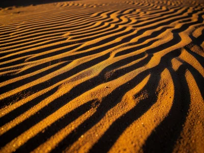 Ripple marks frozen in sandstone, ancient sand patterns lithified into permanent