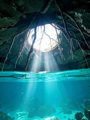 Underwater view looking up through the surface of a cenote, the circular opening