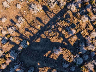 Shadow of clouds creating moving pattern across bog surface