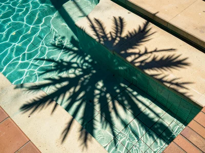 A palm tree shadow cast onto a turquoise swimming pool surface, the frond shadow