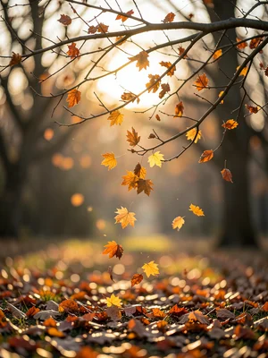 Autumn leaves falling upward from ground, reforming on bare tree branches