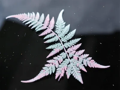 A fern-frost crescent sweeping across cold black glass with one bold central rib