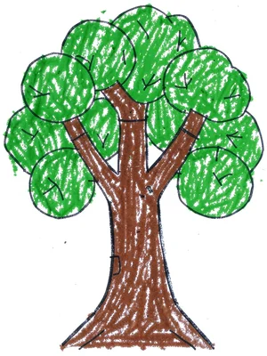 Tree with round green leaves