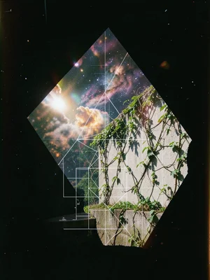 Architectural blueprint lines double-exposed with vine growth on a wall, human d
