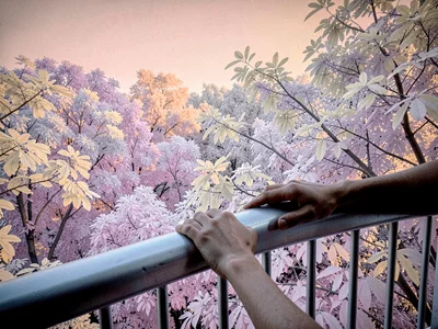 Hands resting on a cool metal railing of a balcony overlooking a treetop canopy 
