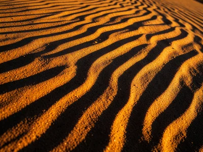 Ripple cross-section in consolidated sand, internal layering visible where ancie