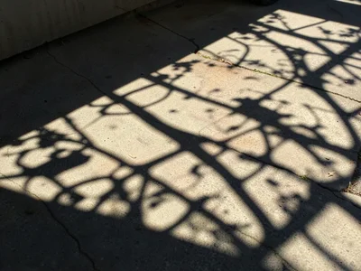 Siesta shadow patterns