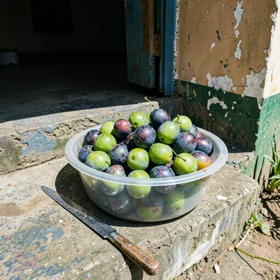 Documentary photograph with Jamaican yard aesthetic, June plums in a plastic bas