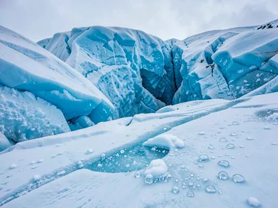 Air bubbles trapped in glacier ice