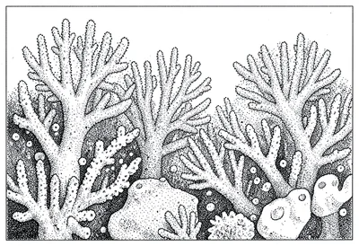 Coral reef stippled