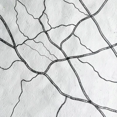 overhead schematic of a regional county with creek lines and roads