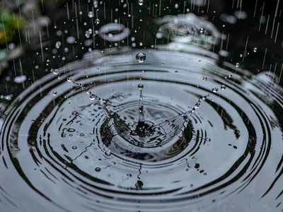 Ripple circles expanding from drop
