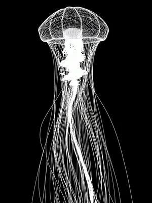 A jellyfish with tentacles formed by long trailing flow field lines curving down