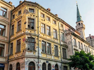 War-marked Austrian facade with painted rose