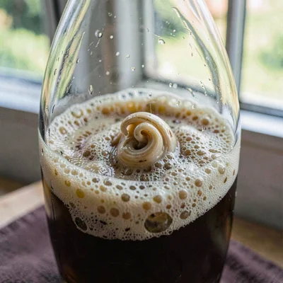 Close-up of yeast lees swirling in a cloudy pet-nat held against a window