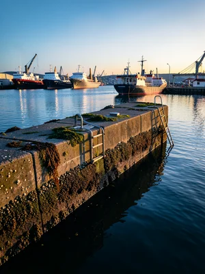 A harbor wall with tide marks: the high water line with barnacles, the low water