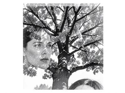 Tree with portrait suggesting face