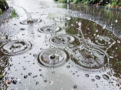 Puddle surface with multiple impact rings