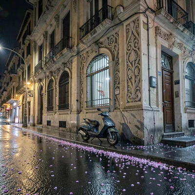 Roma Norte street at midnight, jacaranda petals scattered on wet pavement, a lon