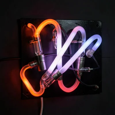 A cluster of curved red-orange neon tubes, the electrode housing visible, mounte