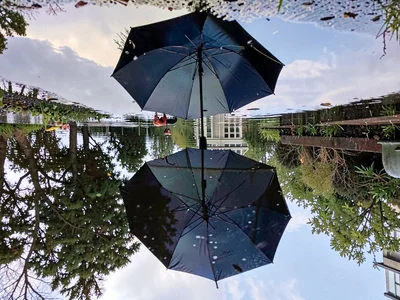 Umbrella reflected in puddle below