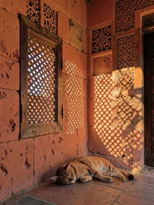 Afternoon sun through mashrabiya lattice in Lamu, Kenya, Light through carved wo