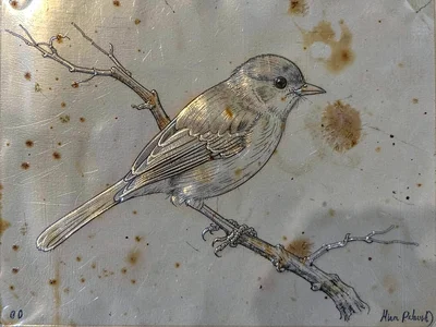 Small bird with detailed feathers