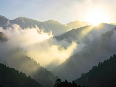 Fog creating glow around light