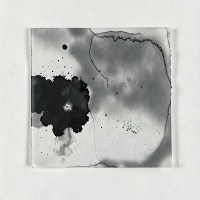 A chemigram showing fixing agent stop — mid-reaction frozen, zones of different 