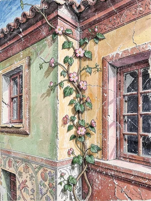 Sgraffito flowering vine corner